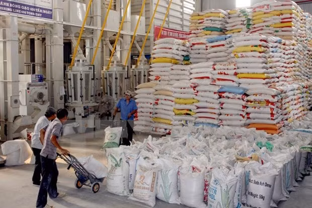 Ministerio de Industria y Comercio de Vietnam propone eliminar cuota de exportación de arroz ảnh 1