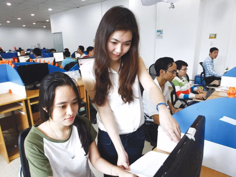 Vietnam, un campo fértil para las empresas de la tecnología de información ảnh 1