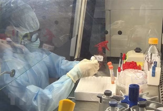 Con dos casos nuevos, Vietnam suma 260 personas infectadas por coronavirus ảnh 1