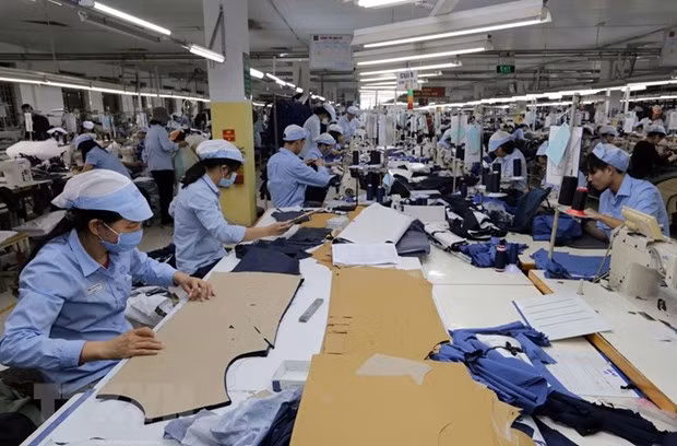 Gobierno vietnamita analizará medidas para eliminar dificultades de empresas ảnh 1 Gobierno vietnamita analizará medidas para eliminar dificultades de empresas ảnh 1