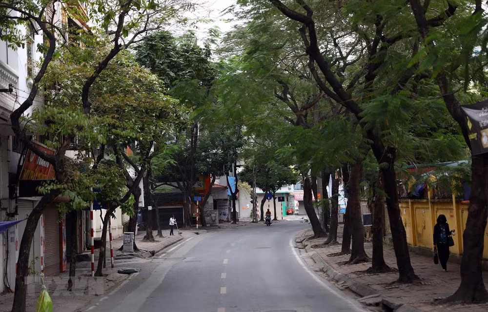 Registran mejor calidad de aire en ciudades vietnamitas ảnh 1 Registran mejor calidad de aire en ciudades vietnamitas ảnh 1