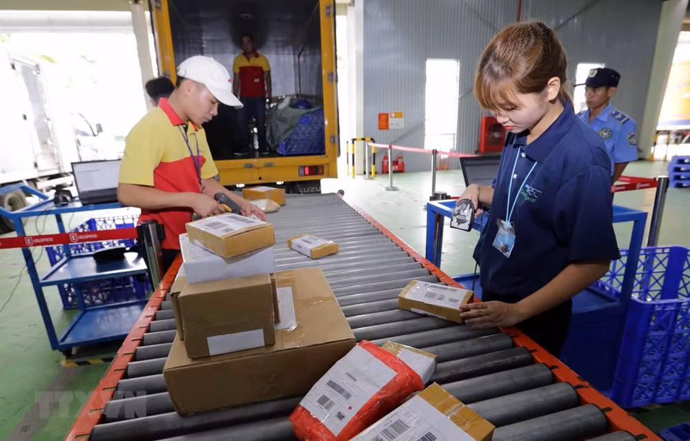 Vietnam debe construir una economía capaz de responder a las crisis, afirma experto ảnh 1 Vietnam debe construir una economía capaz de responder a las crisis, afirma experto ảnh 1