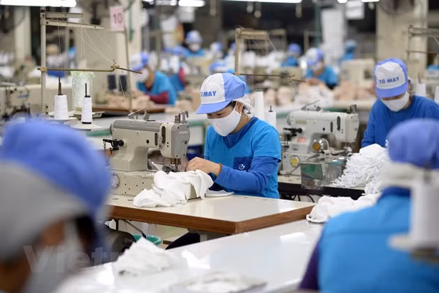Instan a acelerar sistema de registro de exportadores para empresas vietnamitas ảnh 1