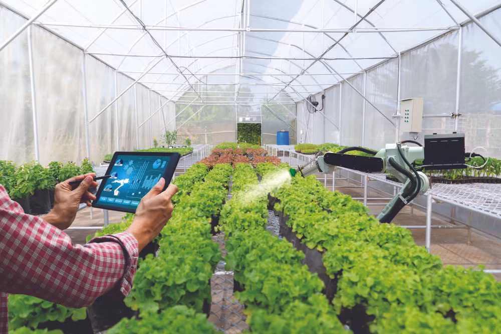Bac Giang acelera transformación digital en construcción de nueva ruralidad ảnh 2 Bac Giang acelera transformación digital en construcción de nueva ruralidad ảnh 2