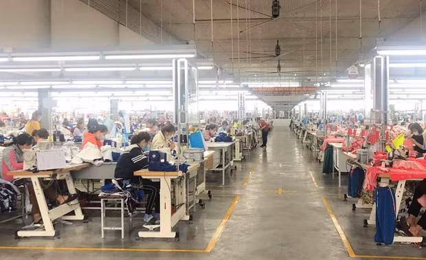 Nexos Vietnam-Italia se revitalizan con visita de presidente asiático ảnh 2 Nexos Vietnam-Italia se revitalizan con visita de presidente asiático ảnh 2