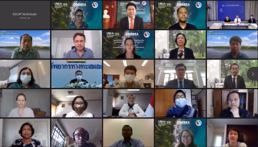 Reafirma Vietnam compromiso de contribuir a proteger entorno marino ảnh 1