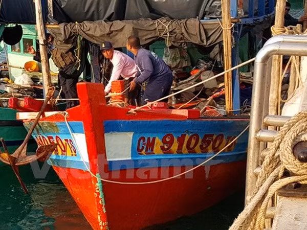 Fuerzas navales de Tailandia detienen barcos vietnamitas por pesca ilegal ảnh 1