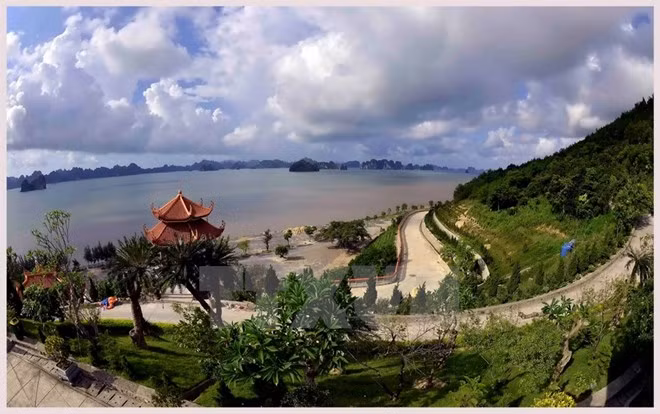 Bai Tu Long, la bahía intocada encantadora en el norte de Vietnam ảnh 1
