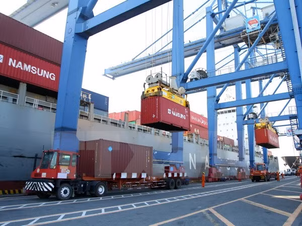 Puerto marítimo de Vietnam recibe el millonésimo contenedor ảnh 1