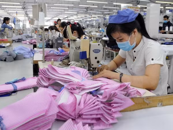 APEC ayuda a integración global de empresas vietnamitas ảnh 1