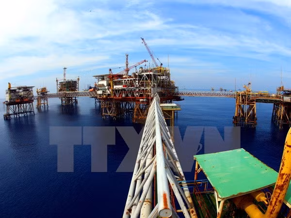Vietnam y Rusia buscan mayor cooperación en el sector petrolero ảnh 1