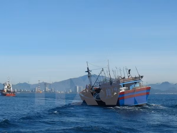 Determinan ubicación de carguero vietnamita hundido ảnh 1