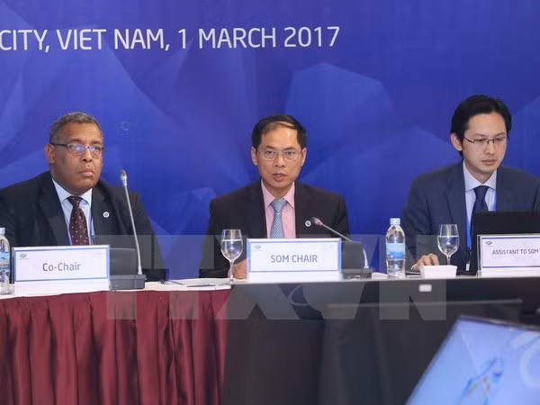 APEC 2017: Sesiona primera Reunión de Altos Funcionarios ảnh 1