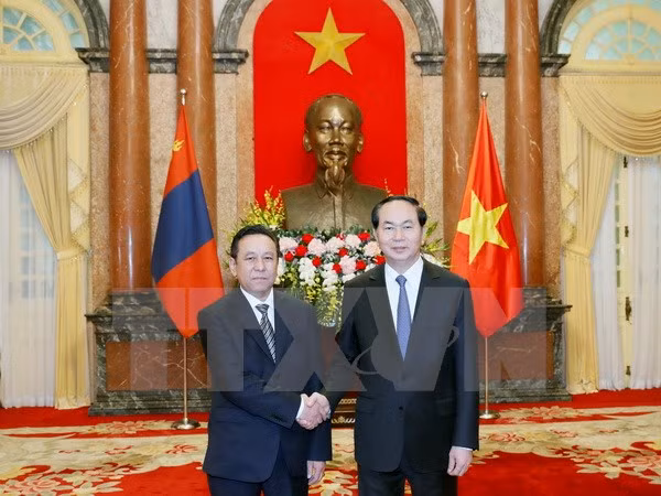 Presidente de Vietnam recibe a nuevos embajadores ảnh 2
