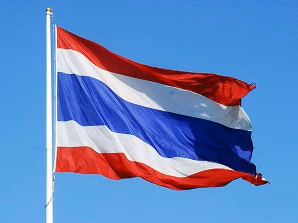 Tailandia ratifica plan de modernización de defensa en próximos 10 años ảnh 1