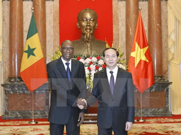 Presidente de Vietnam recibe a nuevos embajadores ảnh 4