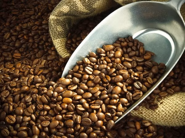 En alza exportaciones de café de Vietnam ảnh 1