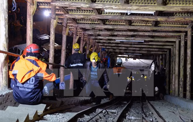 Indonesia prohíbe uso de mercurio en la minería ảnh 1