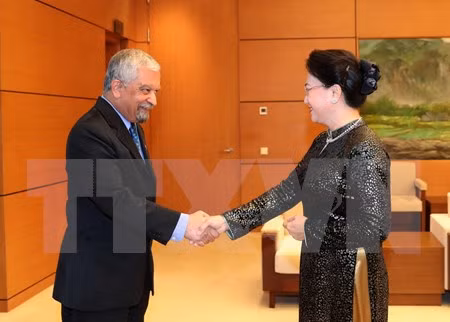 Presidenta legislativa resalta labor de ONU en Vietnam ảnh 1