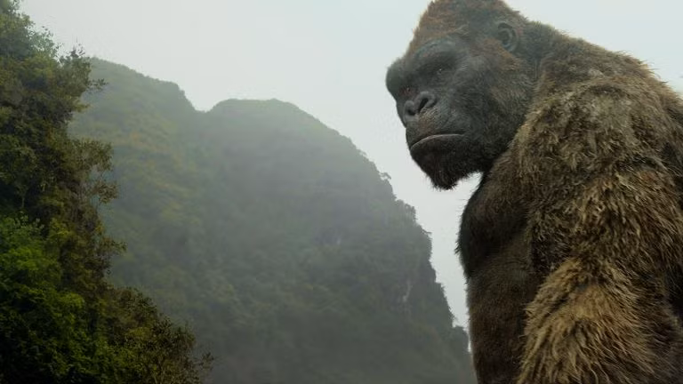 ¿Por qué Vietnam es el lugar perfecto para Kong: la Isla Calavera? ảnh 1