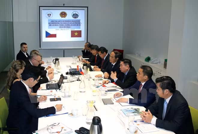 Estimulan inversión de República Checa en provincia altiplánica de Vietnam ảnh 1