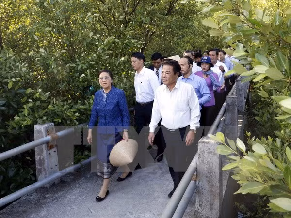 Presidenta parlamentaria de Laos concluye visita a Vietnam ảnh 1