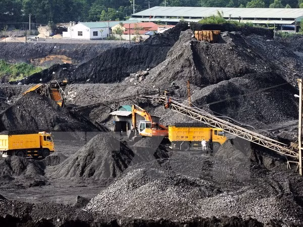 Reestructura Grupo industrial de Carbón y Minerales de Vietnam ảnh 1
