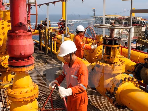 Cumple grupo petrolero de Vietnam metas de ventas ảnh 1