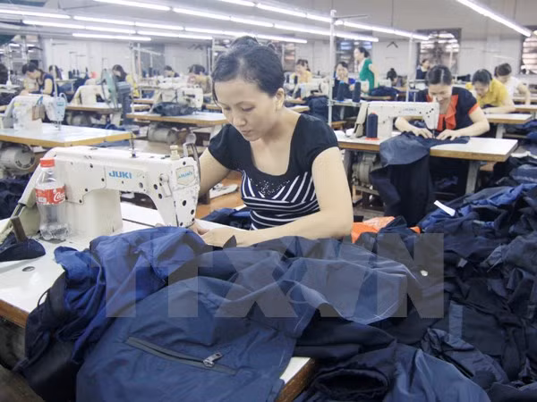 Unión Europea espera implementar Tratado de Libre Comercio con Vietnam ảnh 1