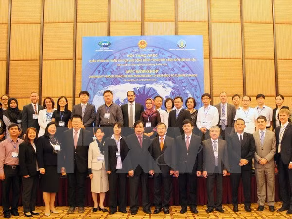 Efectúan en Vietnam conferencia de APEC sobre desastres naturales ảnh 1