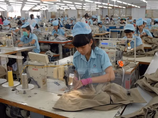 Empresas tailandesas invierten en confecciones-textiles de Vietnam ảnh 1 Empresas tailandesas invierten en confecciones-textiles de Vietnam ảnh 1