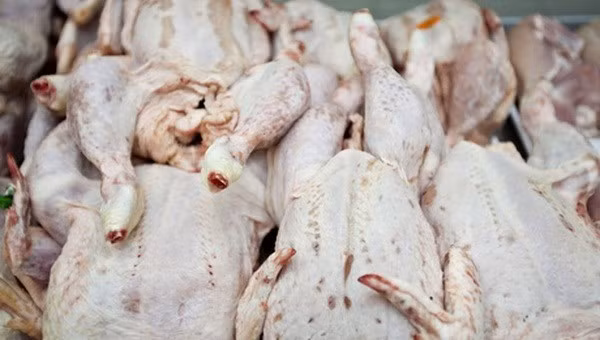  Vietnam finaliza investigación sobre pollos importados de EE.UU. ảnh 1
