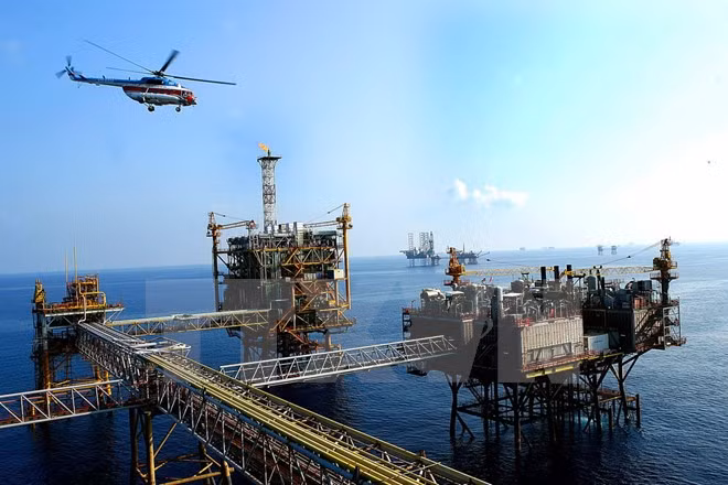 Firman memorandos sobre cooperación petrolera Vietnam-EE.UU. ảnh 1