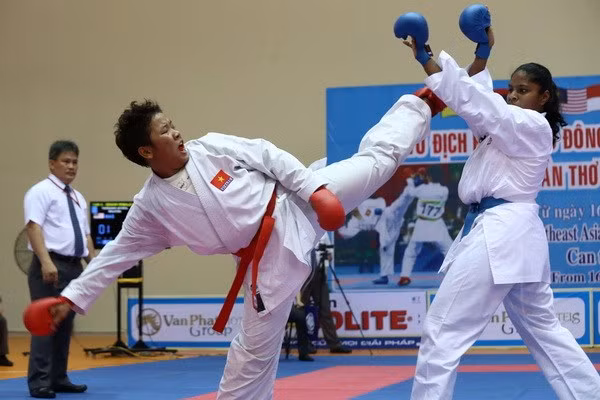 Participan karatecas extranjeros en torneo abierto en Vietnam ảnh 1