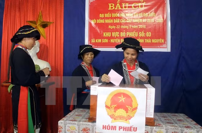 Participación de votantes llegó a 98,77% en Vietnam ảnh 1