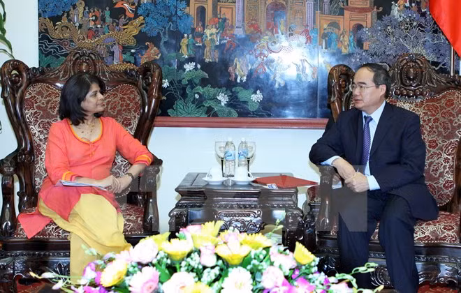 Vietnam desea continuar recibiendo ayuda de ONU en para realizar metas de desarrollo ảnh 1