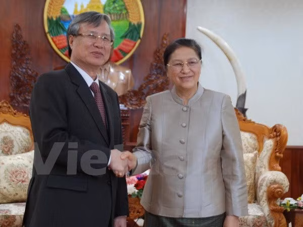 Vietnam y Laos fomentan lazos en labor de inspección partidista ảnh 1