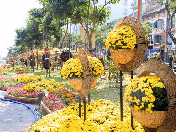 Recorrido de flores embellecerá Ciudad Ho Chi Minh en Año Nuevo Lunar ảnh 1