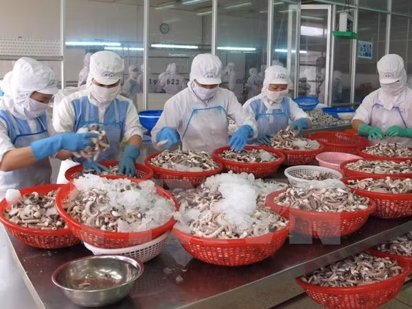 Depositan más de dos mil millones de dólares de IED en Dong Nai ảnh 1 Depositan más de dos mil millones de dólares de IED en Dong Nai ảnh 1