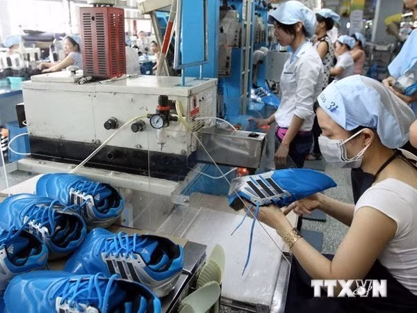 Cantidad de empresas que reanudan actividades creció en 2015 ảnh 1 Cantidad de empresas que reanudan actividades creció en 2015 ảnh 1