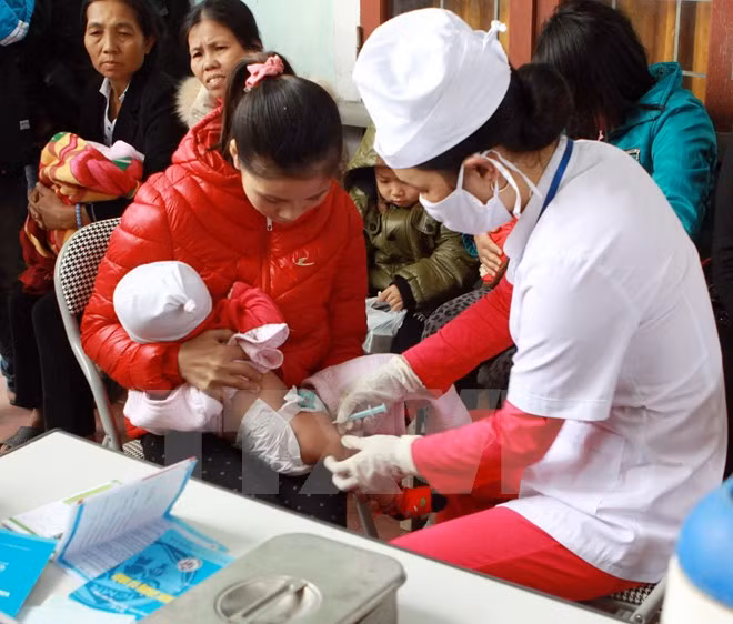 Vietnam lanzará al mercado vacuna 6 en 1 en 2020 ảnh 1 Vietnam lanzará al mercado vacuna 6 en 1 en 2020 ảnh 1