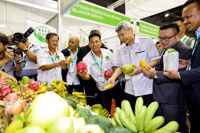 Malasia busca modernizar agricultura ảnh 1 Malasia busca modernizar agricultura ảnh 1