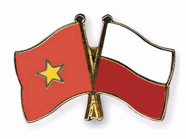 Celebrado Día Nacional de Polonia en Hanoi ảnh 1