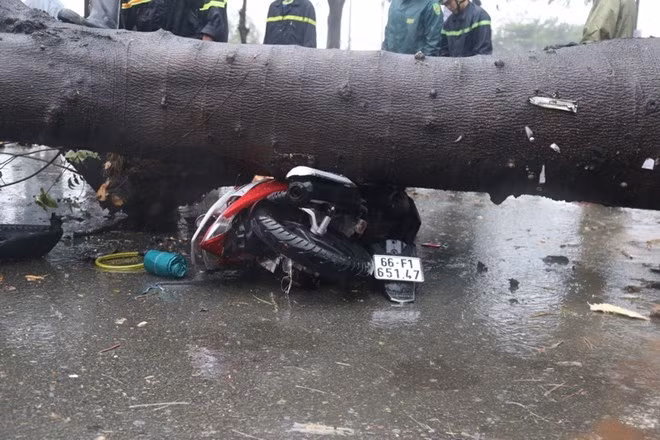 Tifón Usagi azota el Sur de Vietnam y deja un fallecido y grandes pérdidas materiales ảnh 1