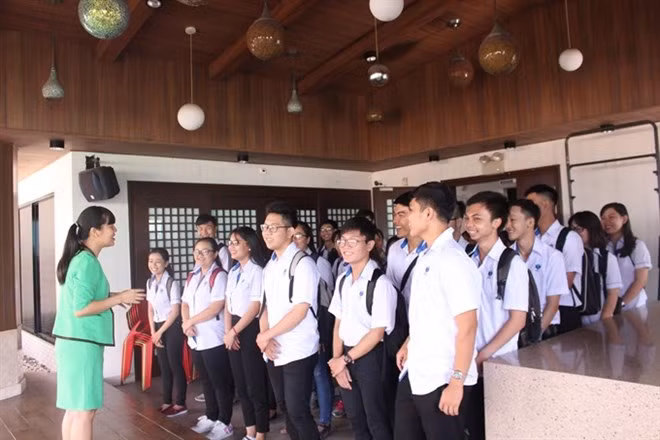 Escuelas de Vietnam ofrecen cursos de idiomas extranjeros para trabajadores y estudiantes ảnh 1 Escuelas de Vietnam ofrecen cursos de idiomas extranjeros para trabajadores y estudiantes ảnh 1