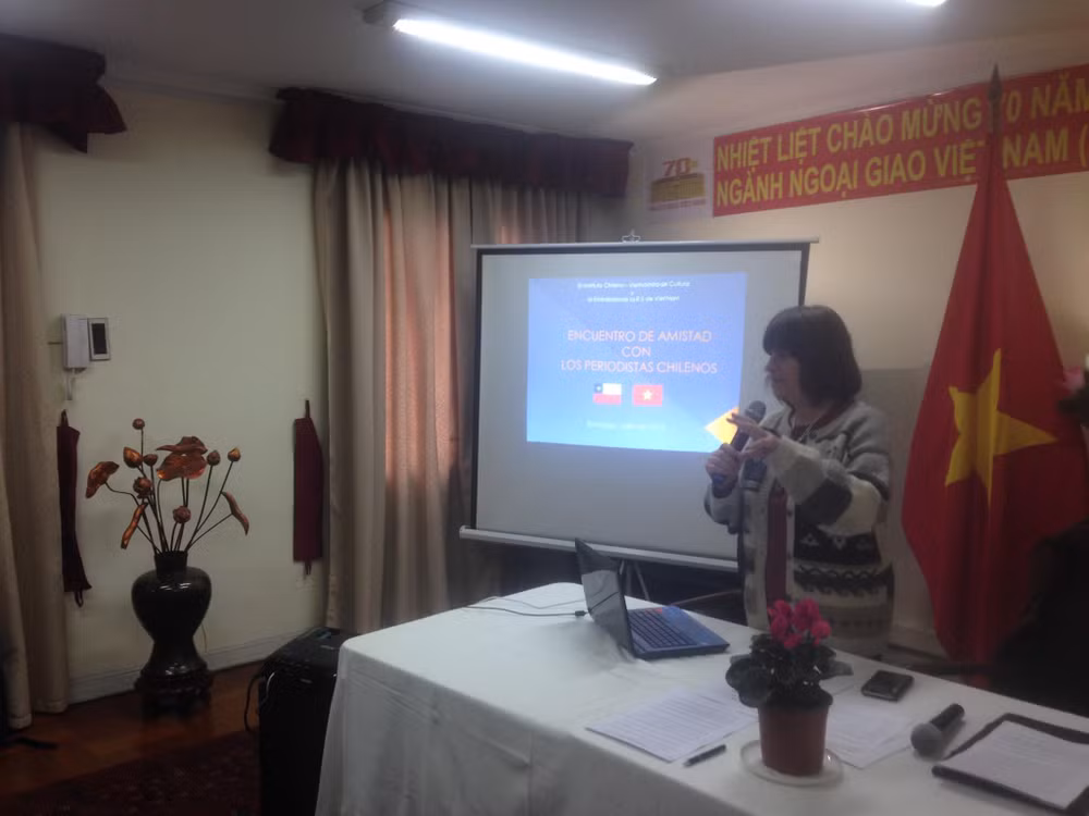 Vietnam y Chile promueven relaciones de amistad ảnh 1