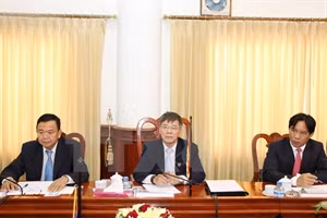 Fomentan cooperación en inspección gubernamental Vietnam-Laos ảnh 1