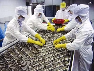 Perspectivas para exportación vietnamita de camarones ảnh 1
