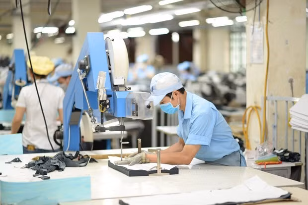 Agrandan lazos en asuntos sociales y laborales Vietnam y Estados Unidos ảnh 1 Agrandan lazos en asuntos sociales y laborales Vietnam y Estados Unidos ảnh 1
