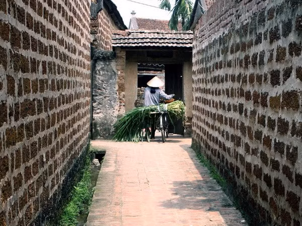 Preservación y promoción de la aldea antigua de Duong Lam ảnh 1 Preservación y promoción de la aldea antigua de Duong Lam ảnh 1